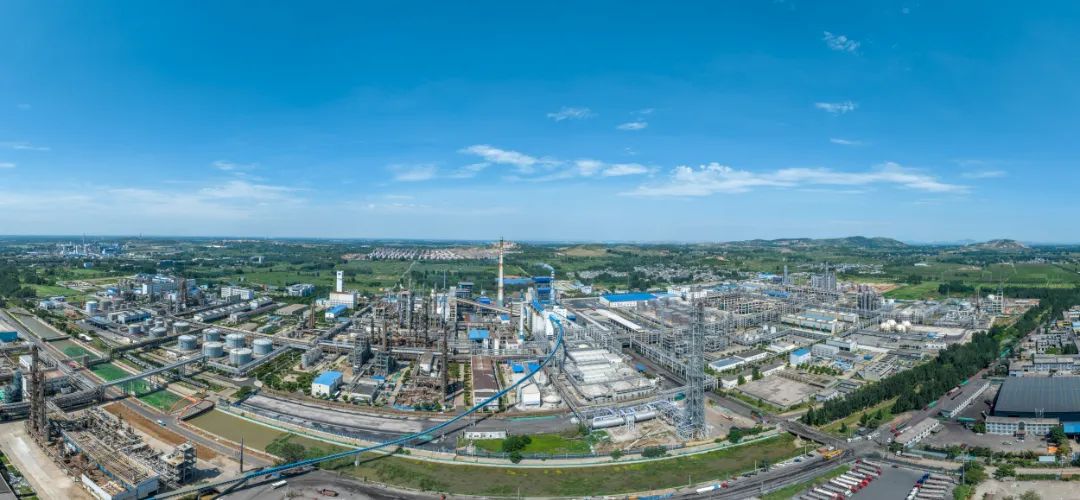 1680186096292855.jpg 12.jpg